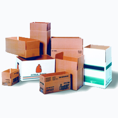 What are Case Erectors in Packaging Industry?